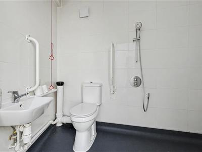 Picture 24